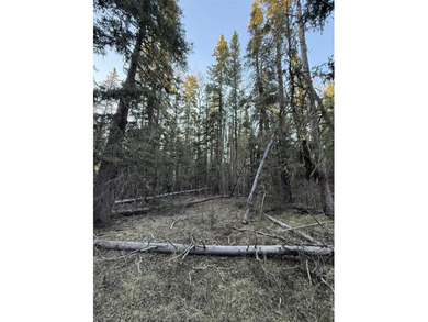 Perched near the top of Angel Fire Resort and just feet from the - photo 6