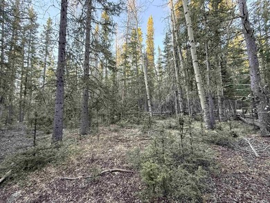 Perched near the top of Angel Fire Resort and just feet from the - photo 7