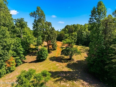 Tucked away in the beauty of East Tennessee, this unfinished - photo 19