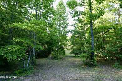 Tucked away in the beauty of East Tennessee, this unfinished - photo 25
