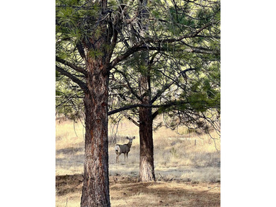 Additional listing photo 4