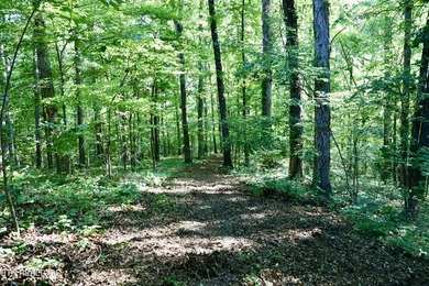 Tucked away in the beauty of East Tennessee, this unfinished - photo 26