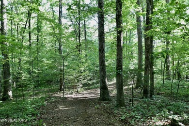 Tucked away in the beauty of East Tennessee, this unfinished - photo 27