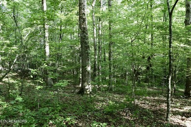 Tucked away in the beauty of East Tennessee, this unfinished - photo 28