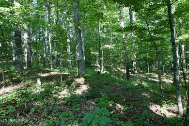 Tucked away in the beauty of East Tennessee, this unfinished - photo 29