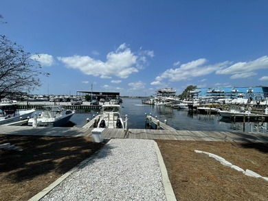 Welcome to Finisterra Condominiums, a gated waterfront community - photo 33