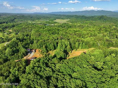 Tucked away in the beauty of East Tennessee, this unfinished - photo 35