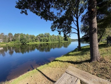 Rare opportunity to own 365' of high-bank Menominee River! This - photo 3