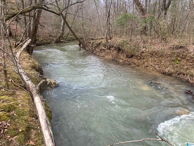 (private lake, pond, coastal) Acreage For Sale in Ashville Alabama