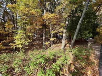 Lake Michigan - Benzie County Lot For Sale in Frankfort Michigan