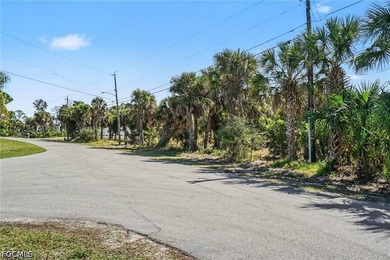 *Wake up to open water possibilities on 1.64 acres of rare - photo 3