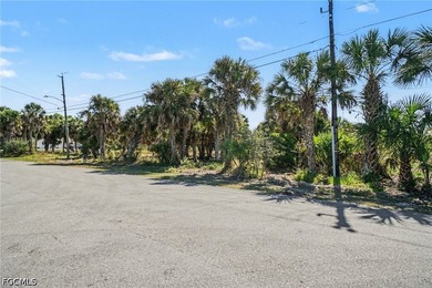 *Wake up to open water possibilities on 1.64 acres of rare - photo 4