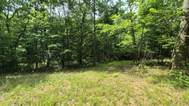 Lake Lot For Sale in Jasper, Tennessee