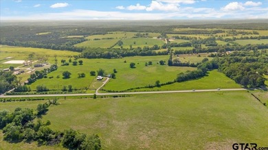 (private lake, pond, creek) Acreage For Sale in Troup Texas