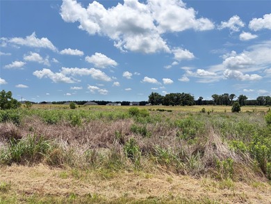 Huge development opportunity near Hwy 175! Whether you're - photo 9