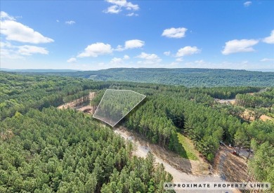 (private lake, pond, creek) Lot For Sale in Guild Tennessee