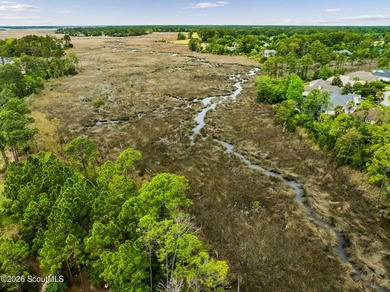 One of the last remaining marshfront opportunities in Osprey - photo 11