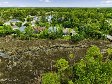 One of the last remaining marshfront opportunities in Osprey - photo 12
