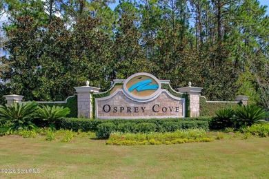 One of the last remaining marshfront opportunities in Osprey - photo 13