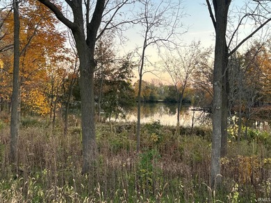 Beautiful .298 acre building lot with pond view. Brand New - photo 4