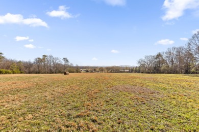 Chickamauga Lake Acreage For Sale in Dayton Tennessee