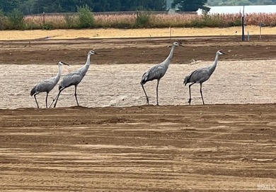 (private lake, pond, creek) Lot For Sale in Leo Indiana