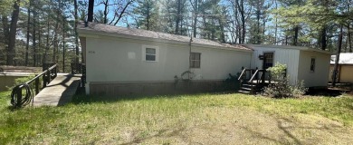 Putnam Lake Home For Sale in Baldwin Michigan