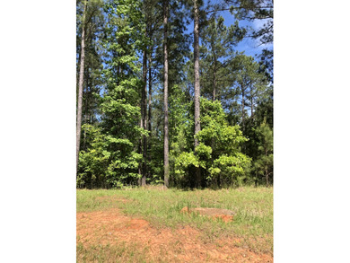 Strom Thurmond / Clarks Hill Lake Acreage For Sale in Lincolnton Georgia