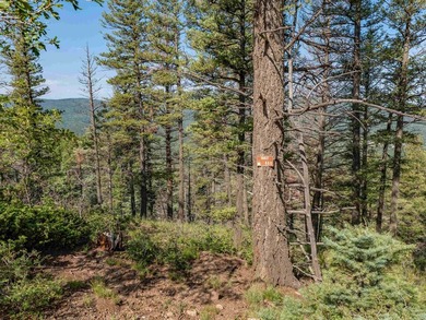 Be amazed by 180 degrees of unobstructed views with this 5 - photo 6