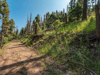 Be amazed by 180 degrees of unobstructed views with this 5 - photo 10