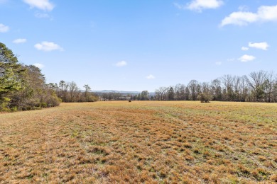 Chickamauga Lake Acreage For Sale in Dayton Tennessee