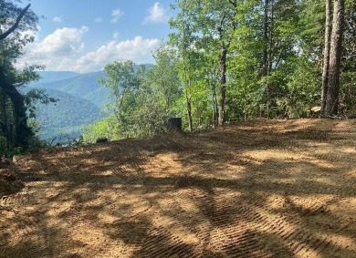 Lake Lot Off Market in Butler, Tennessee