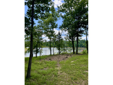 Custom Home on 3 WF lots, 2 DOCKS, Large Shop & Garage! - photo 25