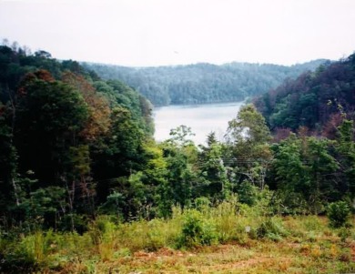(private lake, pond, creek) Lot For Sale in Murphy North Carolina