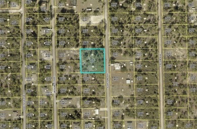 Lehigh Acres Area Lot For Sale in Lehigh Acres Florida