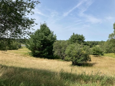 Charming 1900's farmhouse with beautiful acreage leading to - photo 34