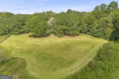 Lake Acreage For Sale in Lavonia, Georgia