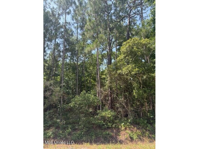 This lot is the perfect canvas for your dream home in the - photo 2