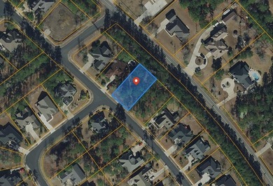 Come build your dream home in the highly sought-after gated - photo 3