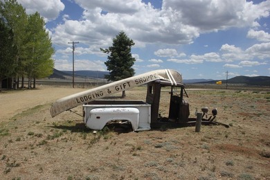 The iconic Pepper Sauce Camp is on the market! The main building - photo 4