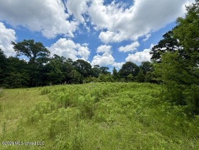 Country Charm on 3.5 Acres - Only $149,500! Enjoy the peace and - photo 11