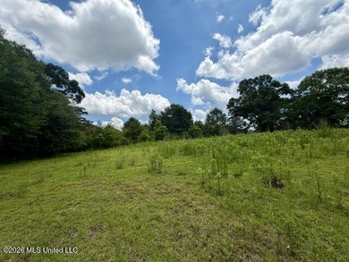 Country Charm on 3.5 Acres - Only $149,500! Enjoy the peace and - photo 12