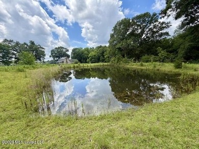 Country Charm on 3.5 Acres - Only $149,500! Enjoy the peace and - photo 13