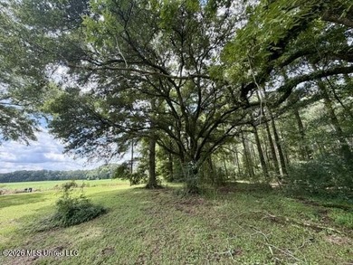 Country Charm on 3.5 Acres - Only $149,500! Enjoy the peace and - photo 18