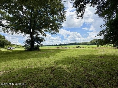 Country Charm on 3.5 Acres - Only $149,500! Enjoy the peace and - photo 19