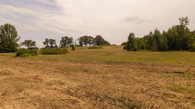Custom Home on 96 Acres in Hector, Arkansas - Built in