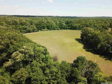 Saline River Acreage For Sale in Haskell Arkansas