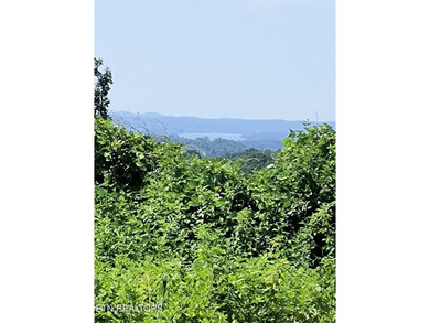 Over 350 ft of Road frontage this 14+/- acre parcel has been - Lake Acreage For Sale in Harriman, Tennessee