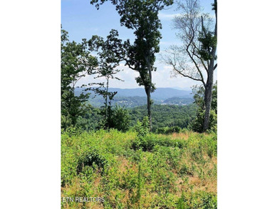 Over 350 ft of Road frontage this 14+/- acre parcel has been - photo 2