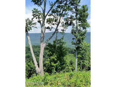 Over 350 ft of Road frontage this 14+/- acre parcel has been - photo 5